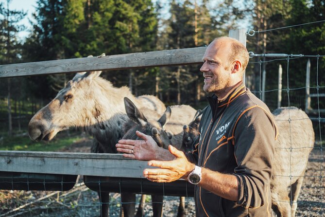Kristiansand: Guided Bus Tour and Moose Park Experience - A practical look at the timing