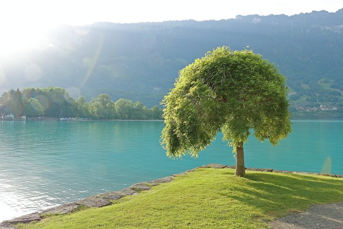 (KTG361) - Interlaken day trip by bus from Geneva - Lauterbrunnen adds the day’s most dramatic scenery