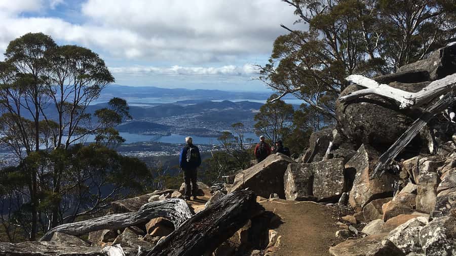 Kunanyi & Mt Wellington Explorer Bus: One-Way Bus Pass - Why this one-way mountain trip works so well