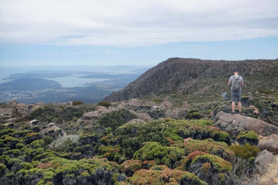 Kunanyi & Mt Wellington Explorer Bus: One-Way Bus Pass - Reaching kunanyi/Mt Wellington’s summit