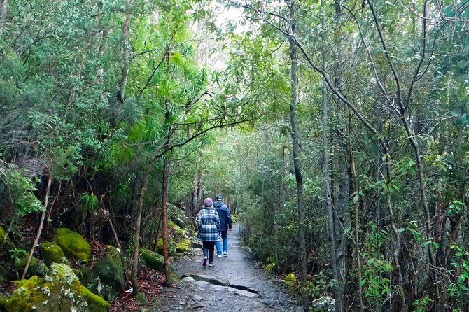 kunanyi/Mt Wellington Explorer Bus - One Way Tour - Key points to know before you go