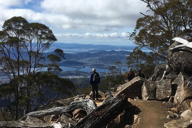 kunanyi/Mt Wellington Explorer Bus - One Way Tour - Price and value at $21.52