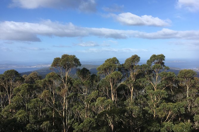 kunanyi/Mt Wellington Explorer Bus - One Way Tour - Meeting point, timing, and practical planning