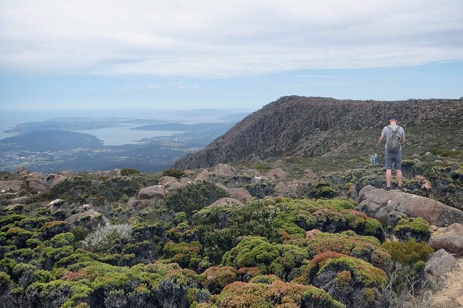 kunanyi/Mt Wellington Explorer Bus- Return Tour (2.5 hours) - Why this bus is such a useful Hobart outing