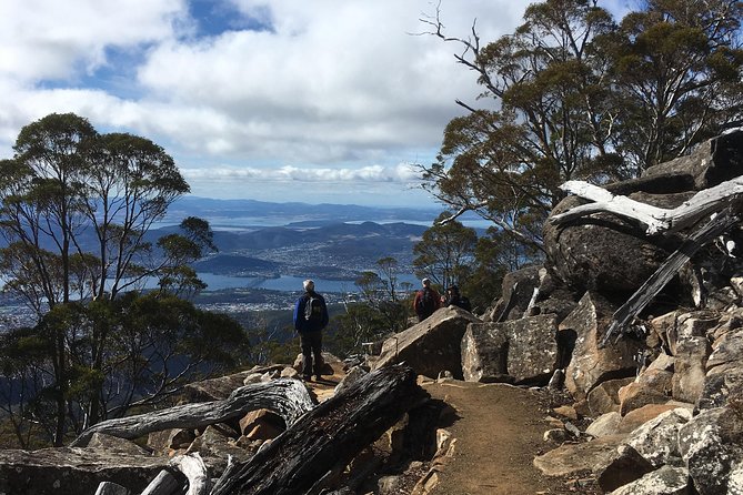 kunanyi/Mt Wellington Explorer Bus- Return Tour (2.5 hours) - Who gets the best value from this trip