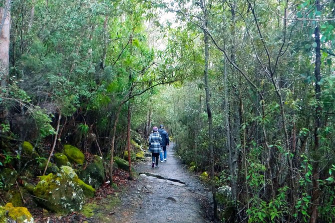kunanyi/Mt Wellington Explorer Bus- Return Tour (2.5 hours) - Practical details that improve the day