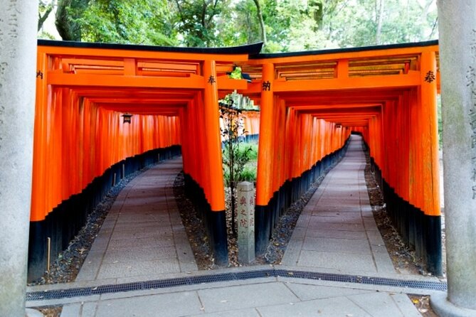 Kyoto 1 Day Golden Route Bus Tour - What the guides add to a packed schedule