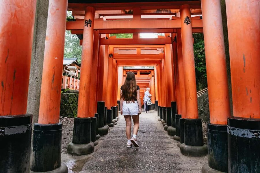 Kyoto: Full-Day Guided Bus Tour to Top Highlights & Tickets - Arashiyama Bamboo Grove: beautiful, brief, and popular