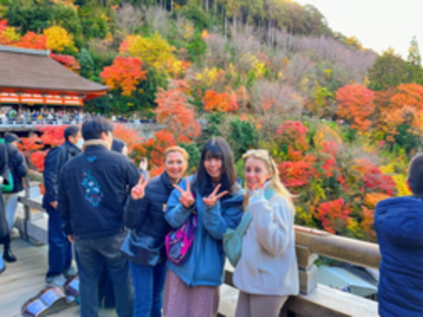 Kyoto: Fushimi Inari, Kinkakuji, Bamboo Grove 1 Day Bus Tour - The guides make the packed schedule easier