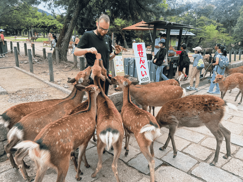 Kyoto: Nara & Traditional Matcha Experience Bus Tour - Todaiji and the Great Buddha of Nara