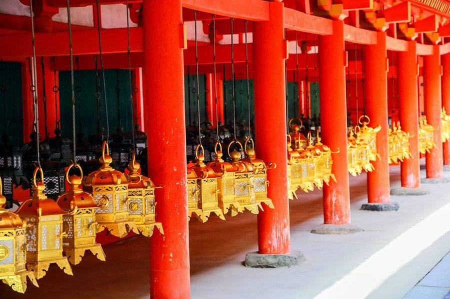 Kyoto: Nara & Traditional Matcha Experience Bus Tour - The lunch break and what to choose
