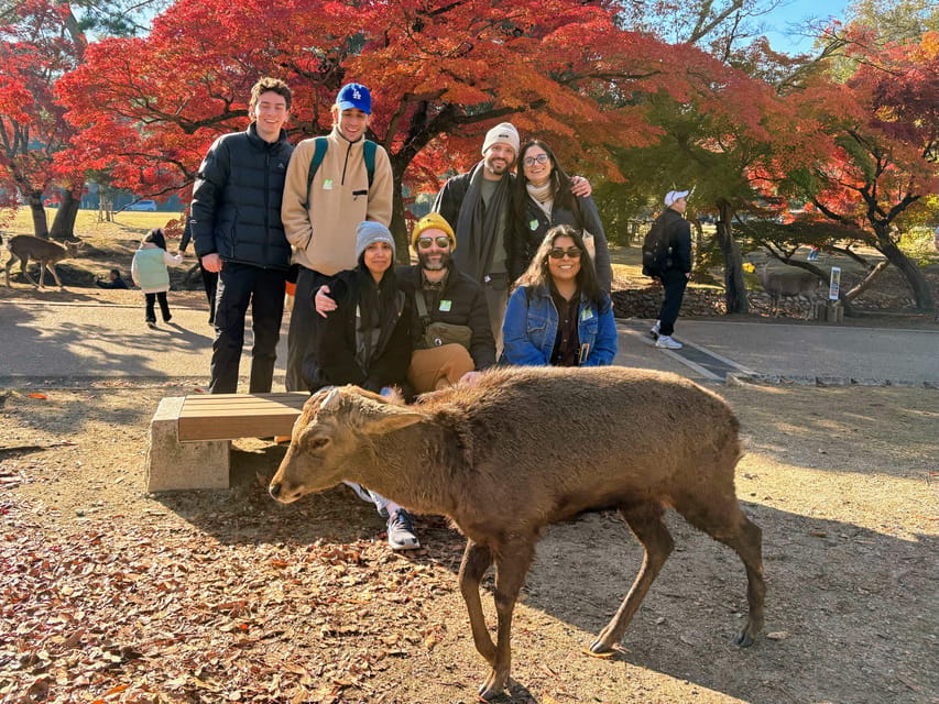 Kyoto: Nara & Traditional Matcha Experience Bus Tour - The coach ride from Kyoto to Nara