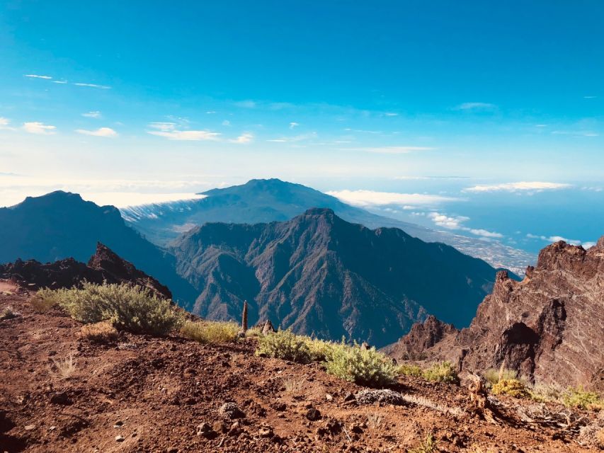 La Palma: Island Highlights Guided Bus Tour - Is this La Palma bus tour worth $50?