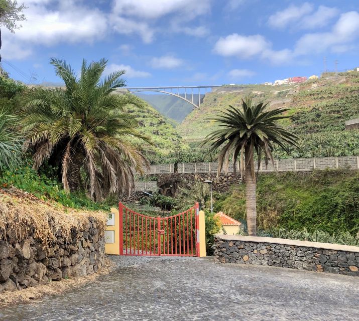 La Palma: North Island Bus Tour with Ron Aldea Distillery - Cubo de La Galga and the laurel forest