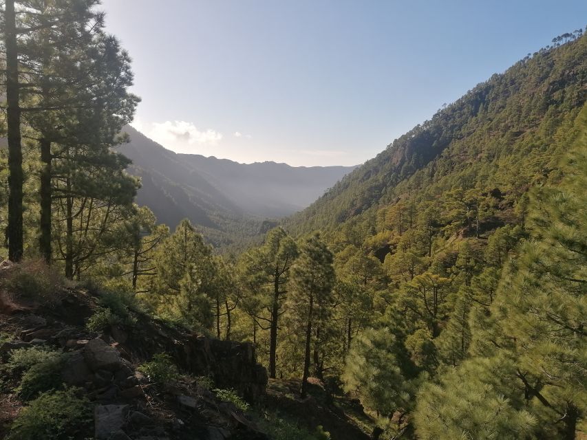 La Palma: San Antonio and Teneguia Volcanos Tour by 4x4 Bus - The new road through the Aridane Valley