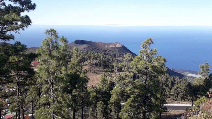 La Palma: San Antonio and Teneguia Volcanos Tour by 4x4 Bus - San Antonio and Teneguía bring the geology close