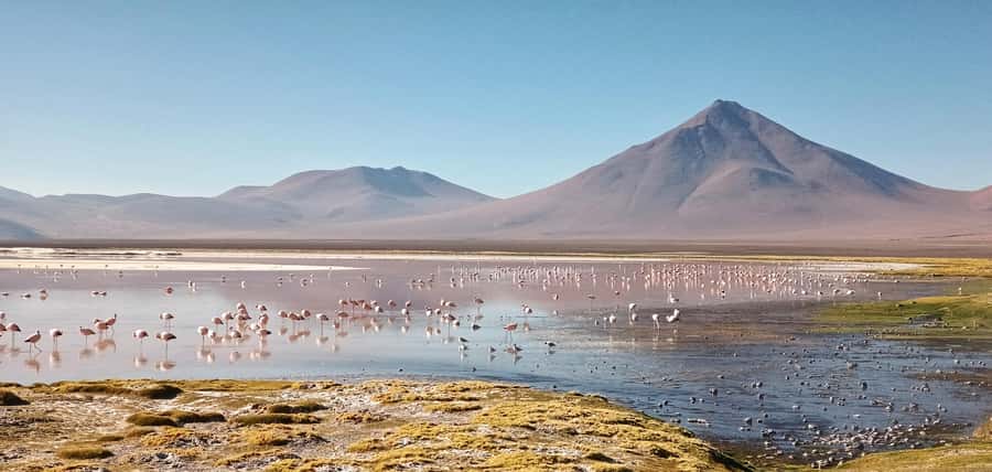 La Paz: 5-Day Uyuni Salt Flats by Bus - Five lagoons, flamingos, and snowy volcanoes