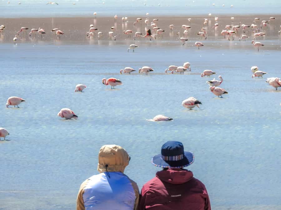 La Paz: Uyuni Salt Flats & Isla Incahuasi 5-Day Bus Tour - The guide and group size matter
