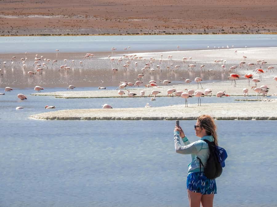 La Paz: Uyuni Salt Flats & Isla Incahuasi 5-Day Bus Tour - Health, comfort, and packing