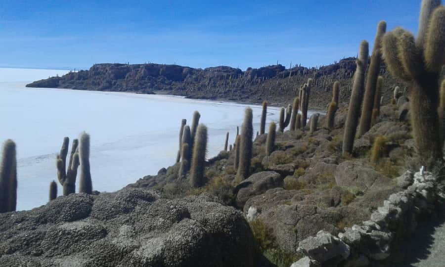 La Paz: Uyuni tour ending in Atacama Chile by bus. - Who should book this route?