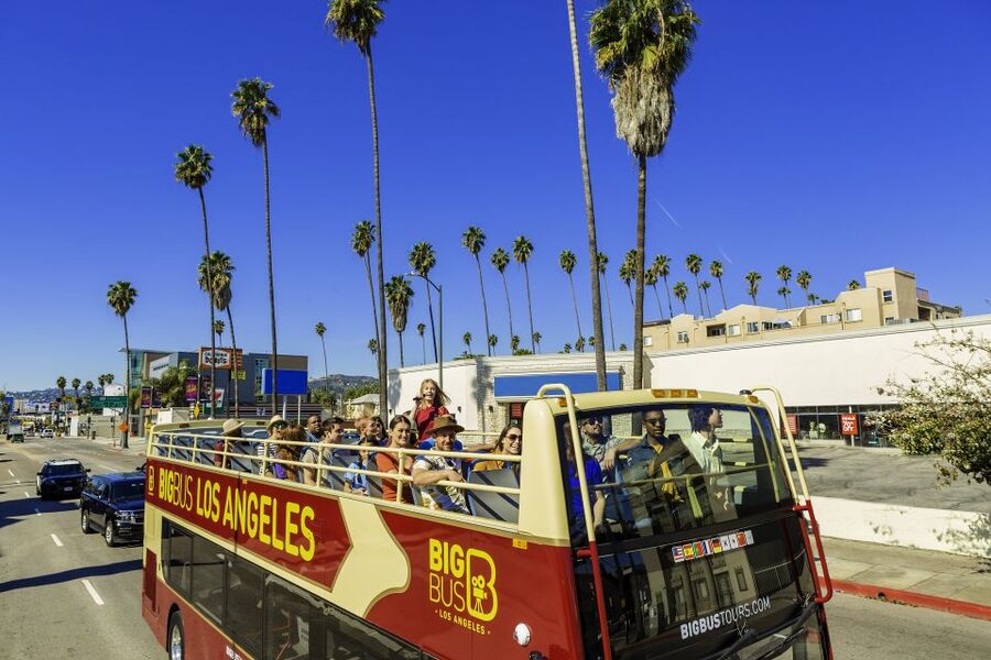 LA: TMZ Celebrity Tour & Big Bus 24-Hour Hop-on Hop-off Tour - The booking problem you should take seriously