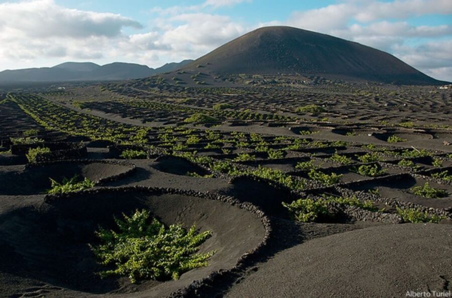 Lanzarote: Full Day Bus Tour with Scenic Views - Why this Lanzarote bus tour is useful