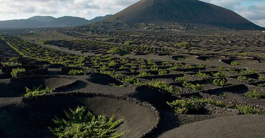 Lanzarote: Full Day Bus Tour with Scenic Views - Timanfaya National Park and the Route of Volcanoes