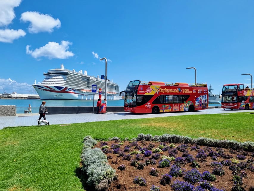 Las Palmas: City Sightseeing Hop-On Hop-Off Bus Tour - Cruise-ship timing and practical comfort