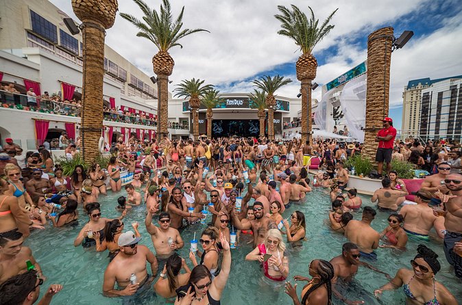 Las Vegas Day Club Crawl & Party Bus VIP Tour - The party bus: the most memorable part