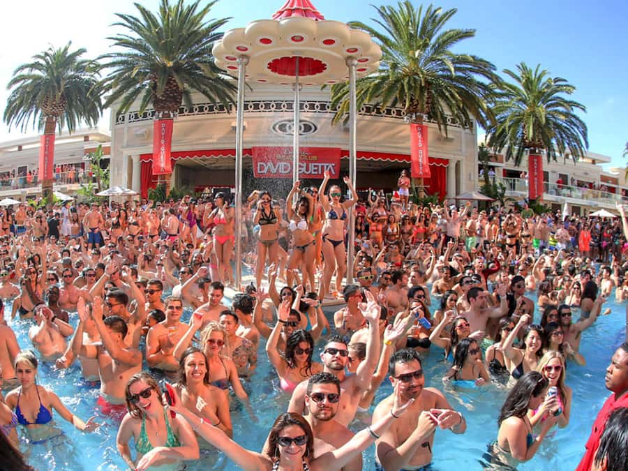 Las Vegas: Famous Pool Party Tour with Party Bus & Drinks - The basic plan: check-in, bus, and two pool parties