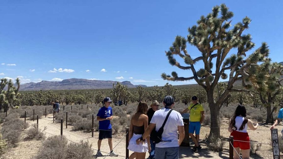 Las Vegas: Grand Canyon Helicopter & Ranch Adventure by Bus - The best parts of this desert day