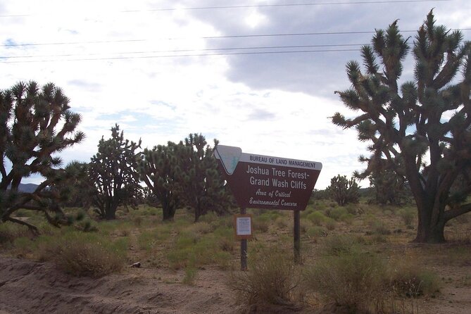 Las Vegas: Grand Canyon West Rim Bus Tour with Skywalk - Lunch at the Grand Canyon
