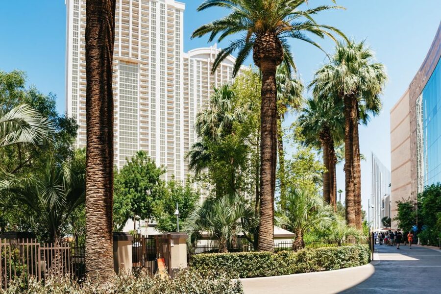 Las Vegas Strip: 3-Stop Pool Party Crawl with Party Bus - Timing, meeting point, and the danger of guessing