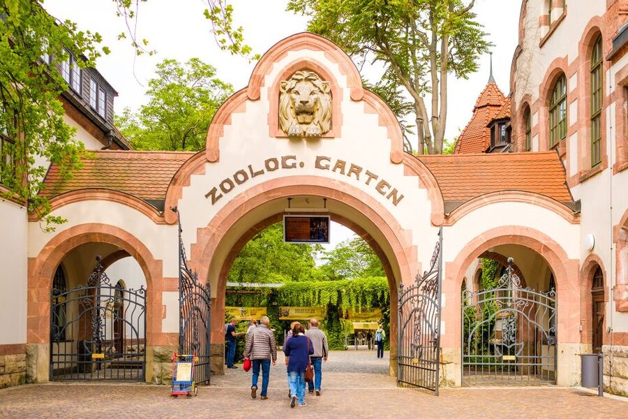 Leipzig: 1-Day Hop-On Hop-Off Bus and Leipzig Zoo Ticket - Should you book the Leipzig bus and zoo combo?