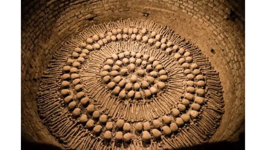 LIMA WALKING TOUR CATACOMBS FROM MIRAFLORES, HISTORICAL CENTER, WINES+BUS - Why this tour works well in Lima