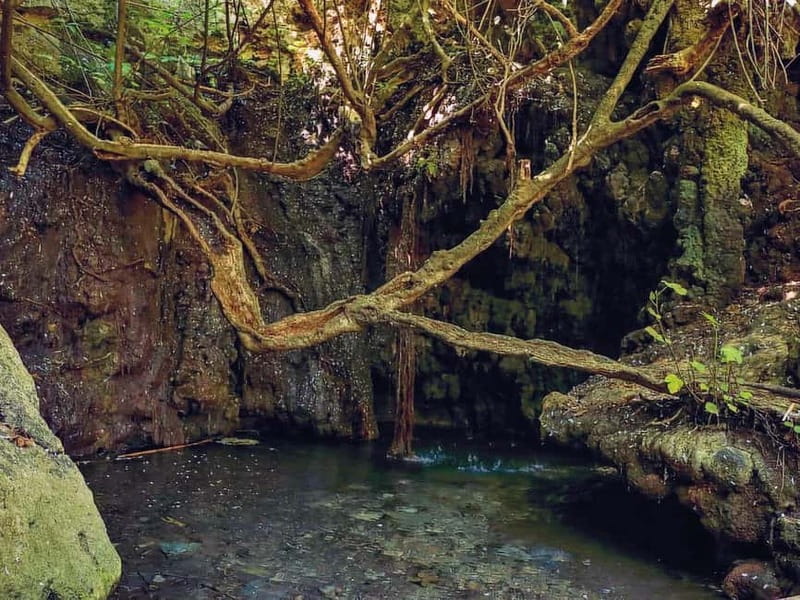 Limassol: Aphrodite Baths & Blue Lagoon Bus & Boat Day Trip - Key points to know before booking