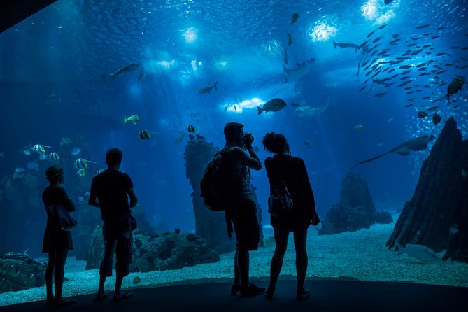 Lisbon Hop-On Hop-Off Bus and Boat Tour with Oceanário Ticket - Key points before you buy
