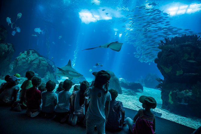 Lisbon Hop-On Hop-Off Bus and Boat Tour with Oceanário Ticket - Begin with the red or Belém route