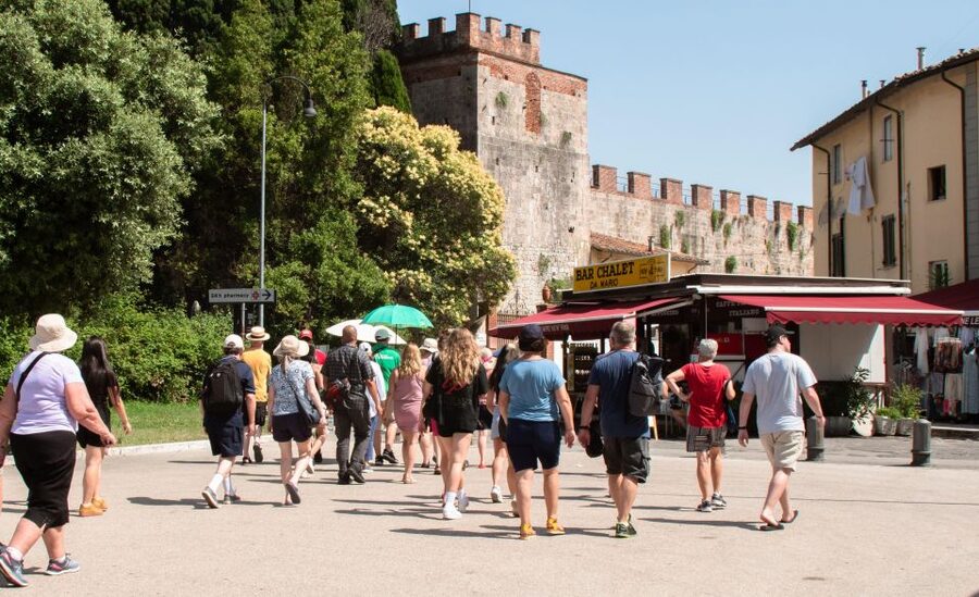 Livorno: Shore Excursion to Pisa and Livorno Bus Tour - Should you book it?