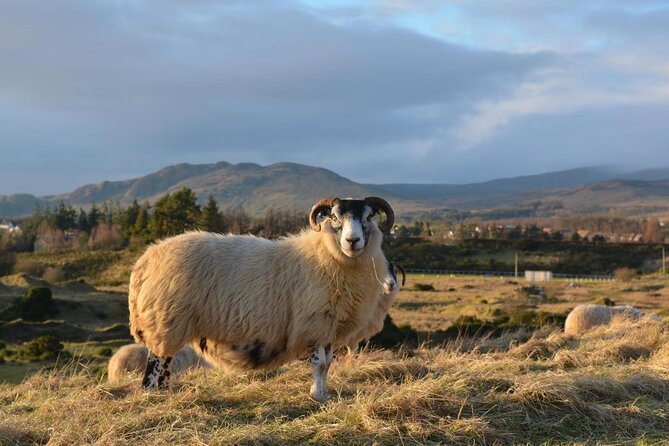 Loch Ness and the Highlands Experience Bus Tour from Edinburgh - Key Points Before You Book
