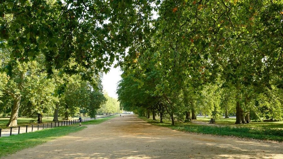 London: 24-Hour Hop-On Hop-Off Bus Pass - Start at Marble Arch or Piccadilly