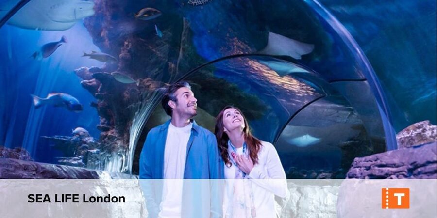 London City pass: Top attractions, Hop on Hop off & tours - What the London City Pass includes
