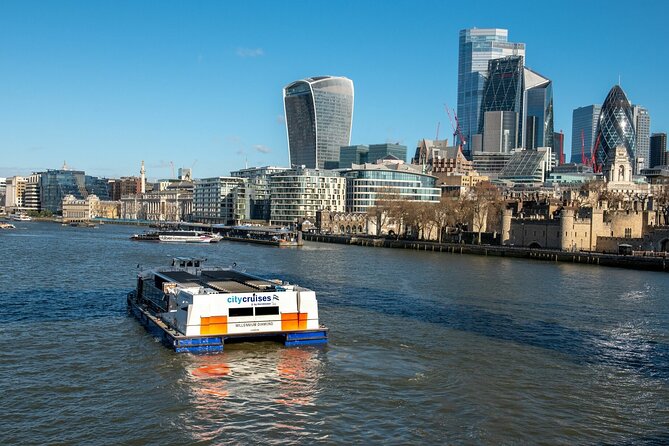 London: Harry Potter Walk, Hop-on Hop-off Bus Tour and Cruise - Palaces, theatres and Piccadilly Circus