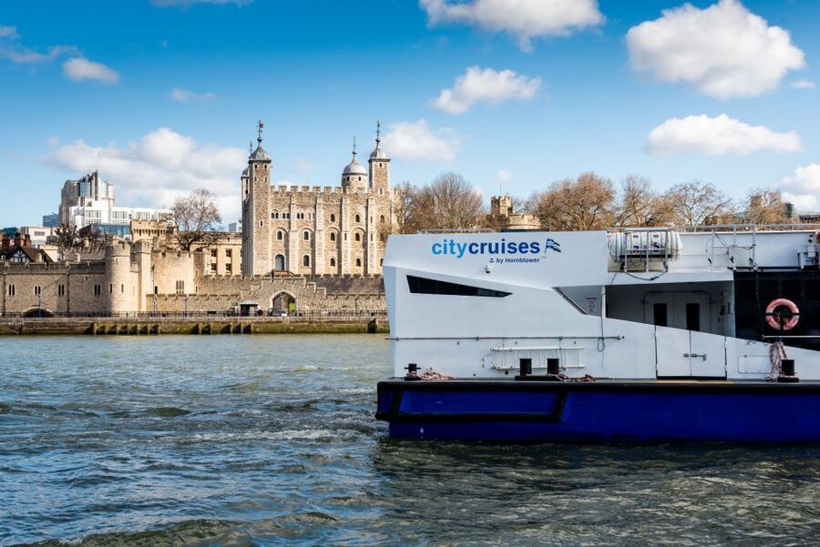 London: Harry Potter Walk, Hop-on Hop-off Bus Tour & Cruise - The London Eye, Cleopatra’s Needle, and the riverfront