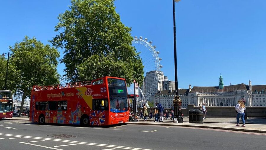 London: Landmarks Walking Tour, Hop-On Hop-Off Bus & Cruise - The 35-minute Thames cruise