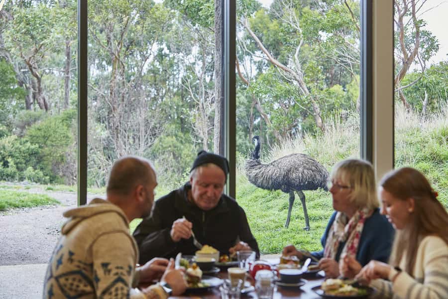 Luxe Bus Great Ocean Road Coastal Spectacular - Key things to know before booking