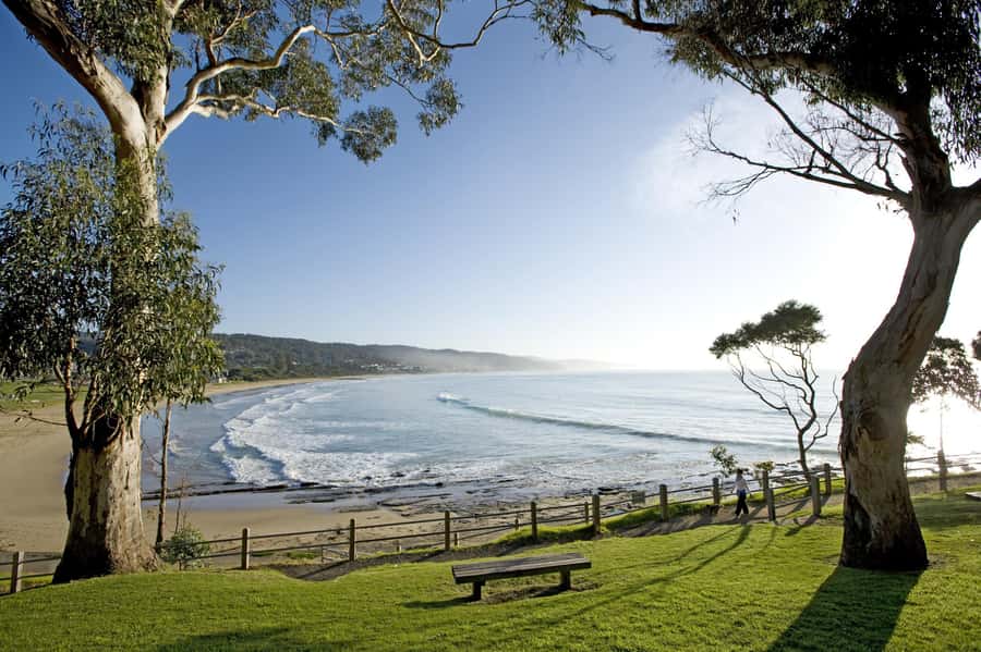Luxe Bus Great Ocean Road Coastal Spectacular - Apollo Bay, Lorne, and the road built by soldiers