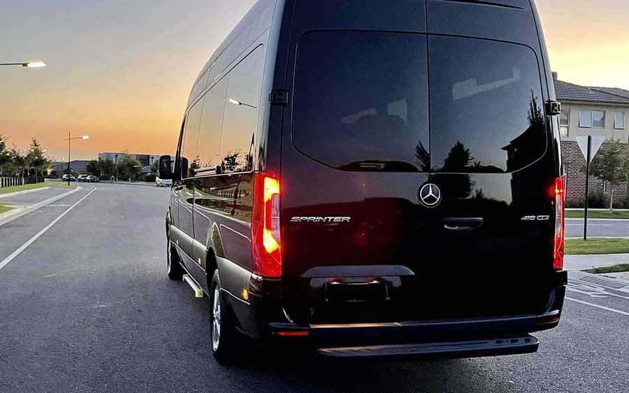 Luxe Bus Great Ocean Road Coastal Spectacular - Who will enjoy this day most