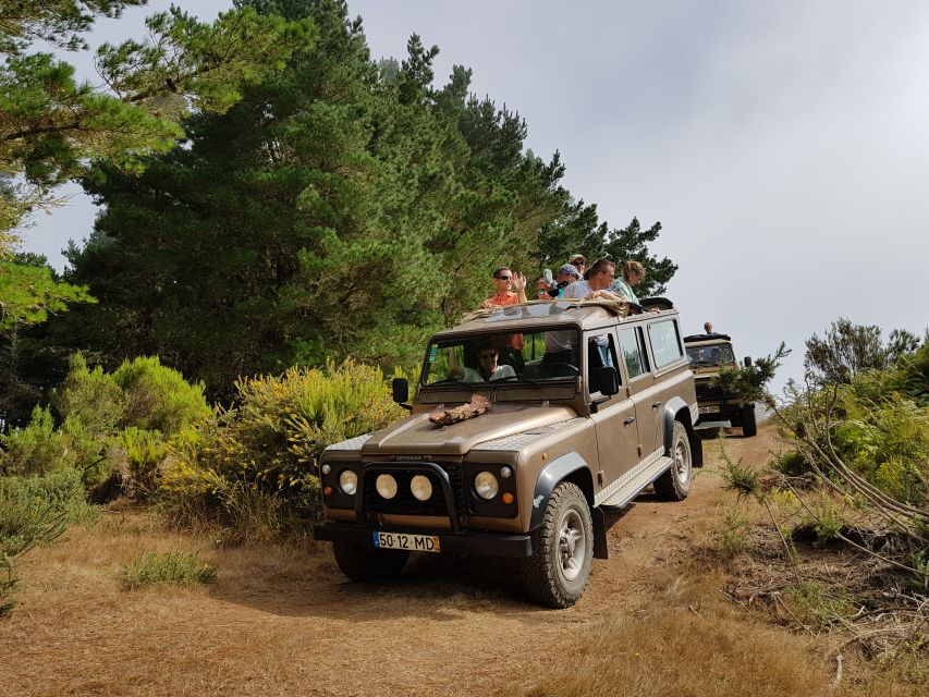 Madeira East or West Private Half-Day Tour by Open-Top Jeep - Câmara de Lobos adds a human scale