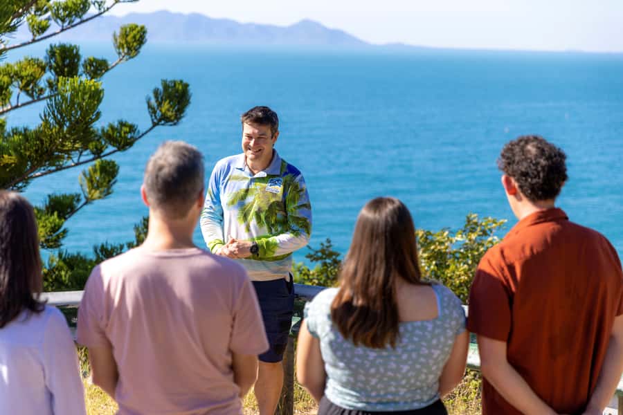 Magnetic Island: Guided Bus Tour with Morning Tea - Why this Magnetic Island bus tour works so well